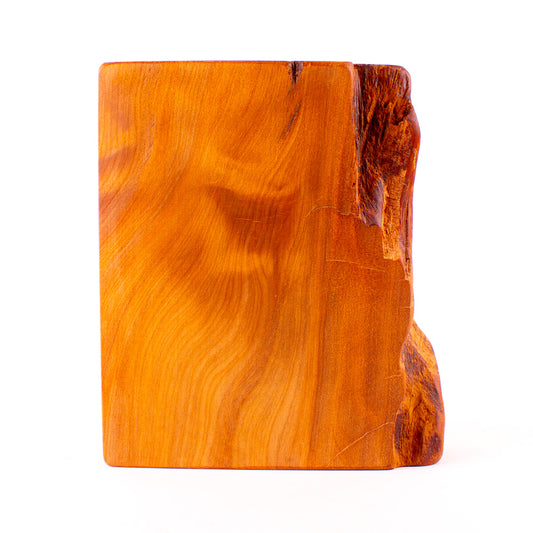 Ancient Kauri Rustic Natural Edge Trophy 11
