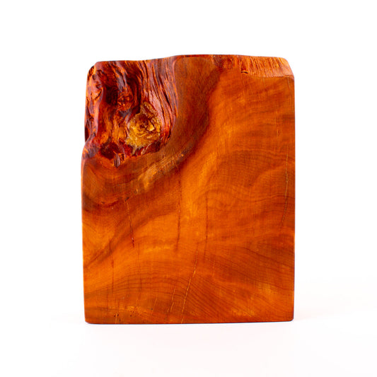Ancient Kauri Rustic Natural Edge Trophy 13