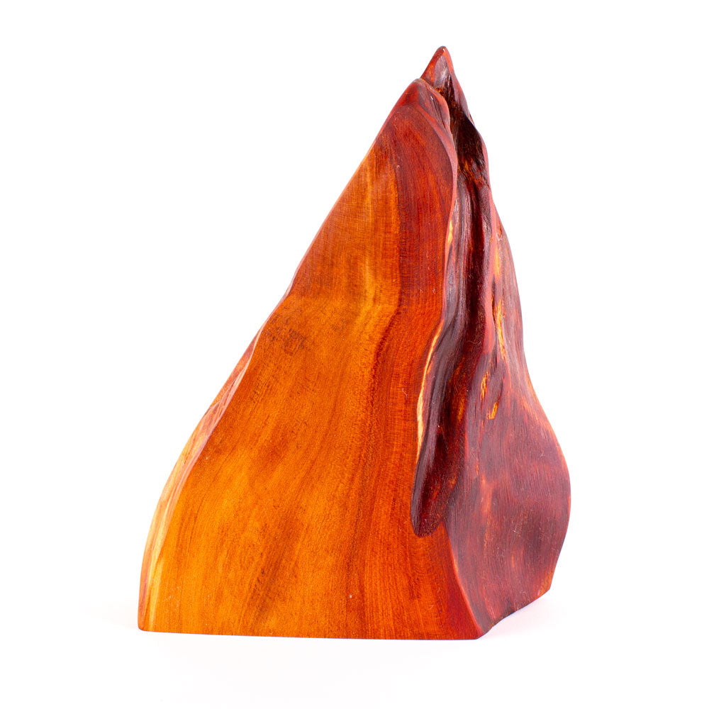 Ancient Kauri Rustic Natural Edge Trophy 46 | 290mm high