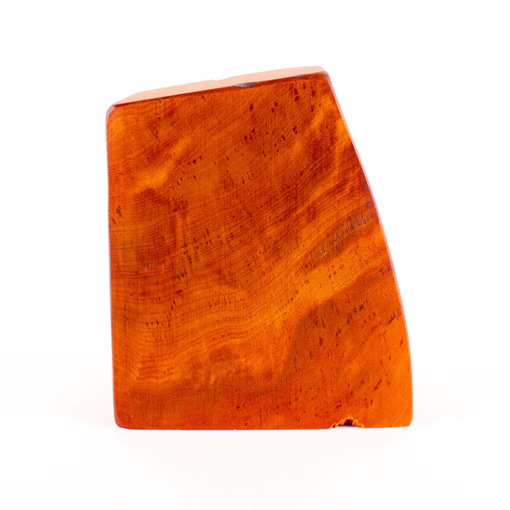 Ancient Kauri Rustic Natural Edge Trophy 35 | 190mm high