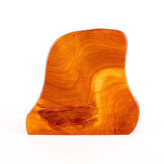 Ancient Kauri Rustic Natural Edge Trophy 37 | 210mm high
