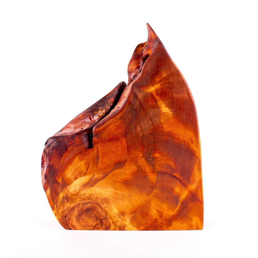 Ancient Kauri Rustic Natural Edge Trophy 48 | 320mm high