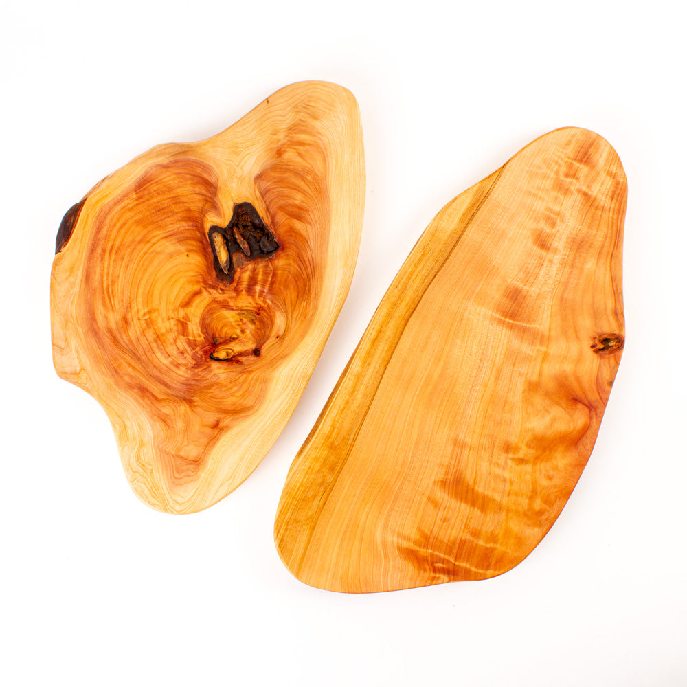 Macrocarpa Tapas Set 23