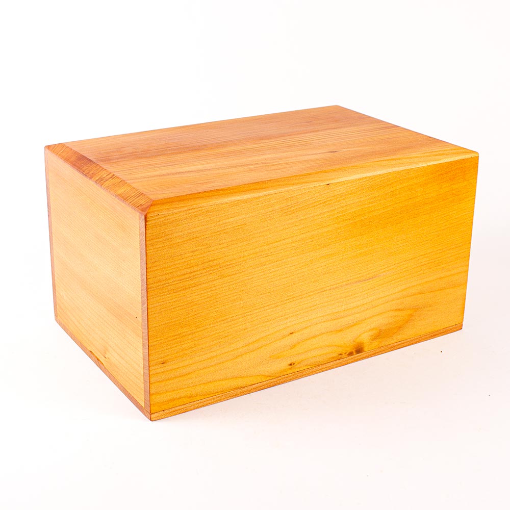 Ashes Urn - Golden Kauri