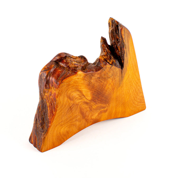 Rustic Natural Edge Trophies