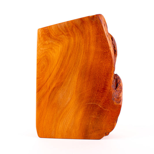 Ancient Kauri Rustic Natural Edge Trophy 15