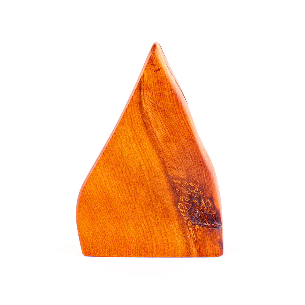 Ancient Kauri Rustic Natural Edge Trophy 22 | 170mm high
