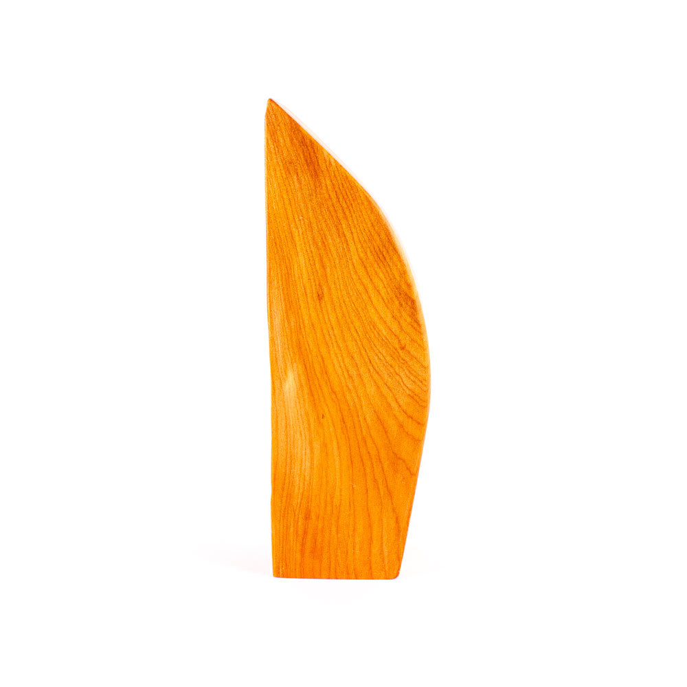 Ancient Kauri Rustic Natural Edge Trophy 24 | 220mm high