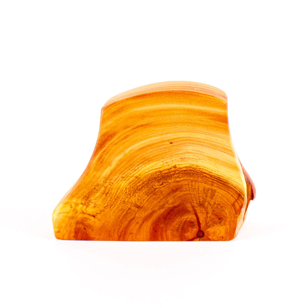 Ancient Kauri Rustic Natural Edge Trophy 27 | 130mm high