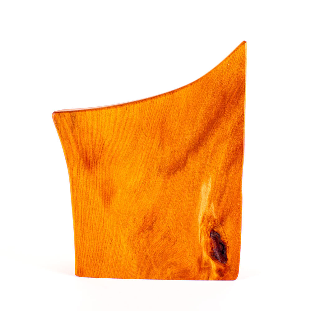Ancient Kauri Rustic Natural Edge Trophy 42 | 250mm high
