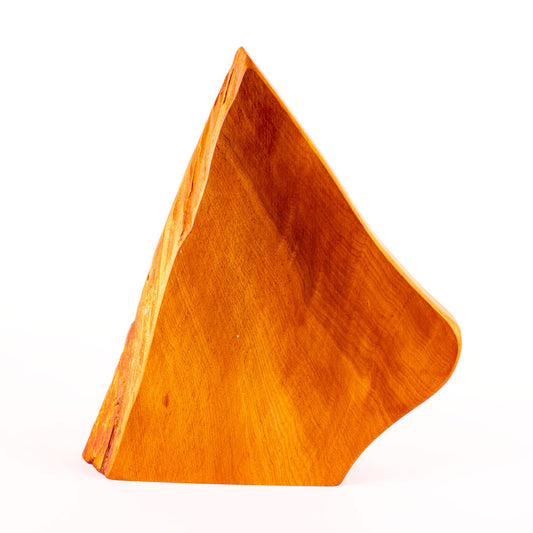 Ancient Kauri Rustic Natural Edge Trophy 45 | 300mm high