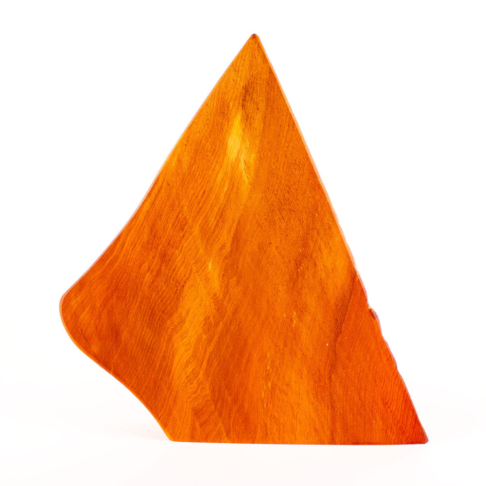 Ancient Kauri Rustic Natural Edge Trophy 45 | 300mm high