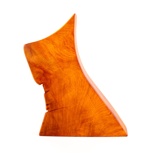 Ancient Kauri Rustic Natural Edge Trophy 39 | 270mm high