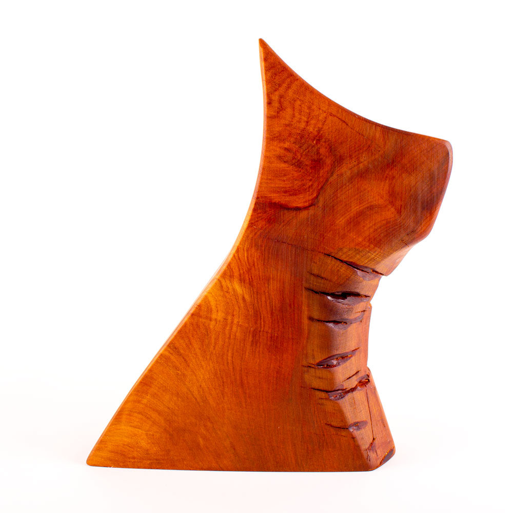 Ancient Kauri Rustic Natural Edge Trophy 39 | 270mm high