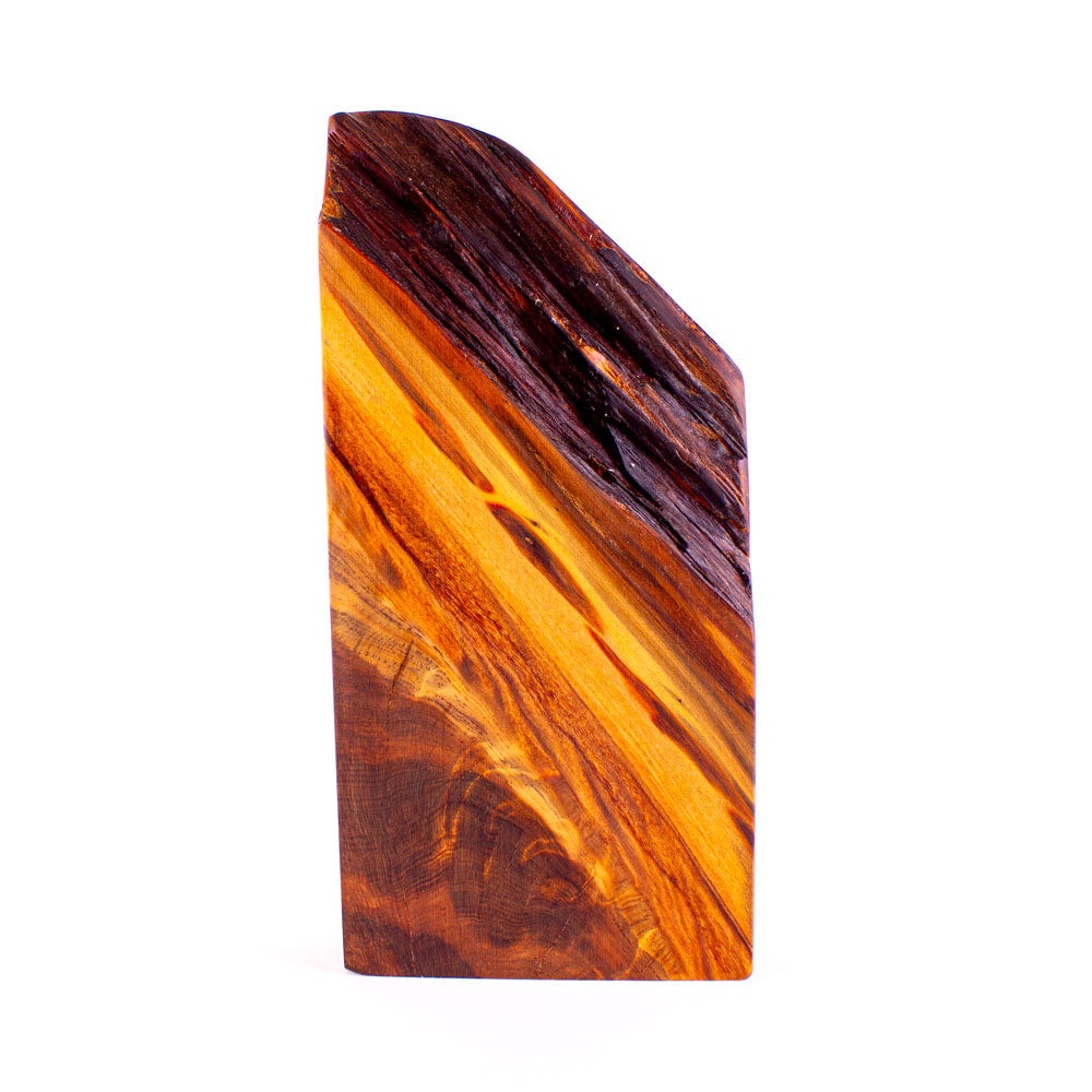 Ancient Kauri Rustic Natural Edge Trophy 40 | 300mm high