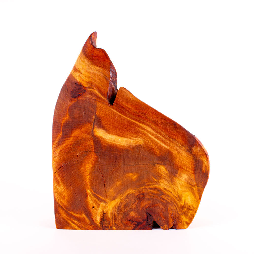 Ancient Kauri Rustic Natural Edge Trophy 48 | 320mm high