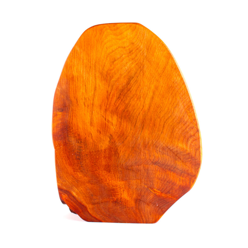 Ancient Kauri Rustic Natural Edge Trophy 50 | 310mm high